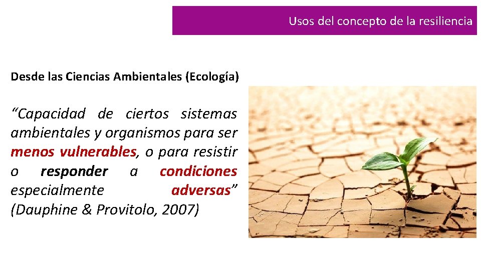 Usos del concepto de la resiliencia Desde las Ciencias Ambientales (Ecología) “Capacidad de ciertos