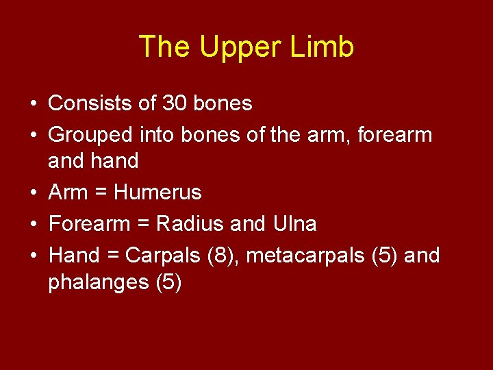 The Upper Limb • Consists of 30 bones • Grouped into bones of the