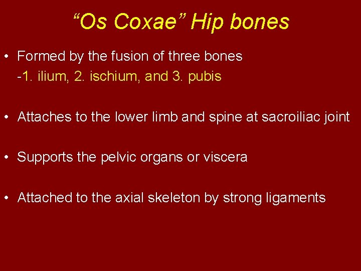 “Os Coxae” Hip bones • Formed by the fusion of three bones -1. ilium,