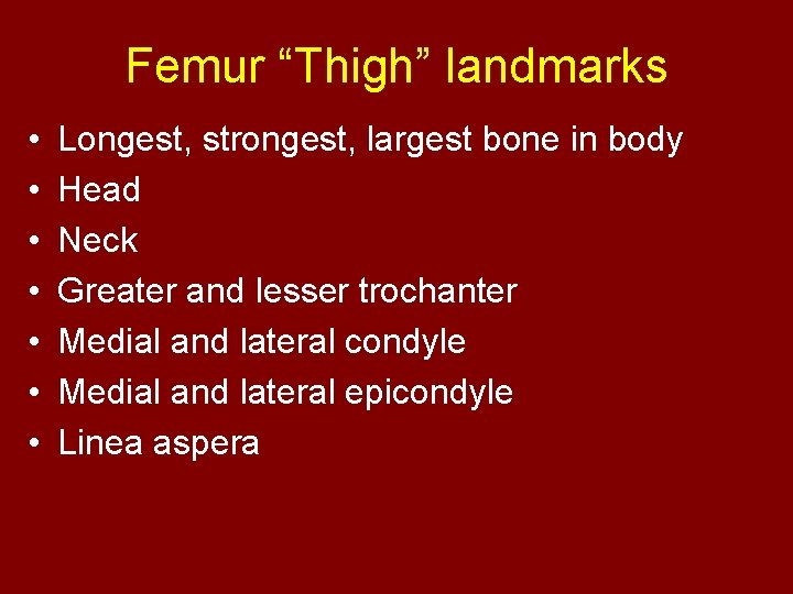 Femur “Thigh” landmarks • • Longest, strongest, largest bone in body Head Neck Greater