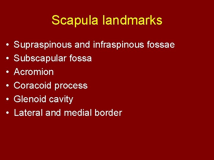 Scapula landmarks • • • Supraspinous and infraspinous fossae Subscapular fossa Acromion Coracoid process