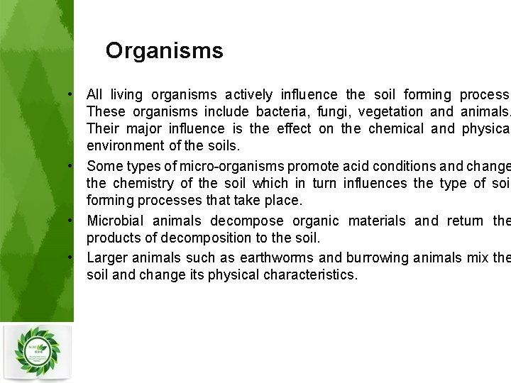Organisms • All living organisms actively influence the soil forming process. These organisms include