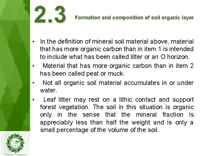 2. 3 Formation and composition of soil organic layer • In the definition of