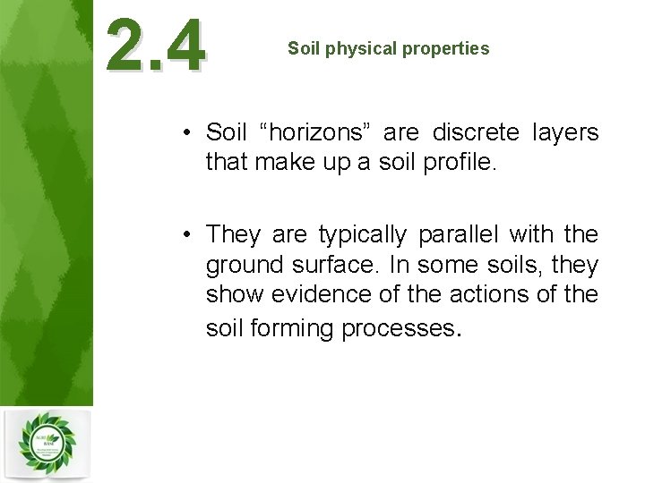 2. 4 Soil physical properties • Soil “horizons” are discrete layers that make up