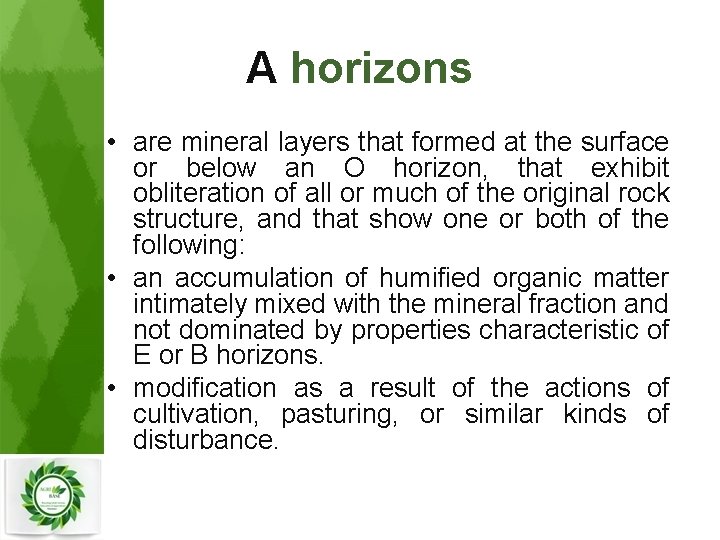 A horizons • are mineral layers that formed at the surface or below an