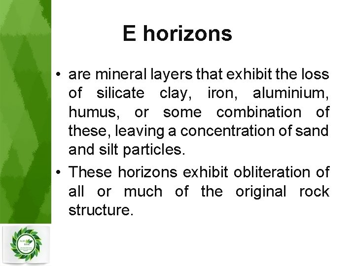 E horizons • are mineral layers that exhibit the loss of silicate clay, iron,