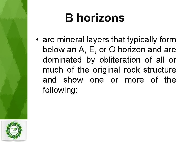 B horizons • are mineral layers that typically form below an A, E, or