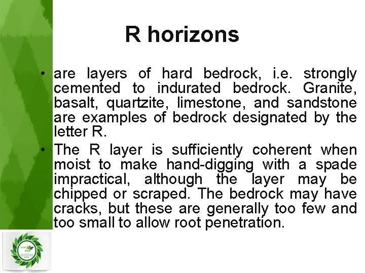 R horizons • are layers of hard bedrock, i. e. strongly cemented to indurated