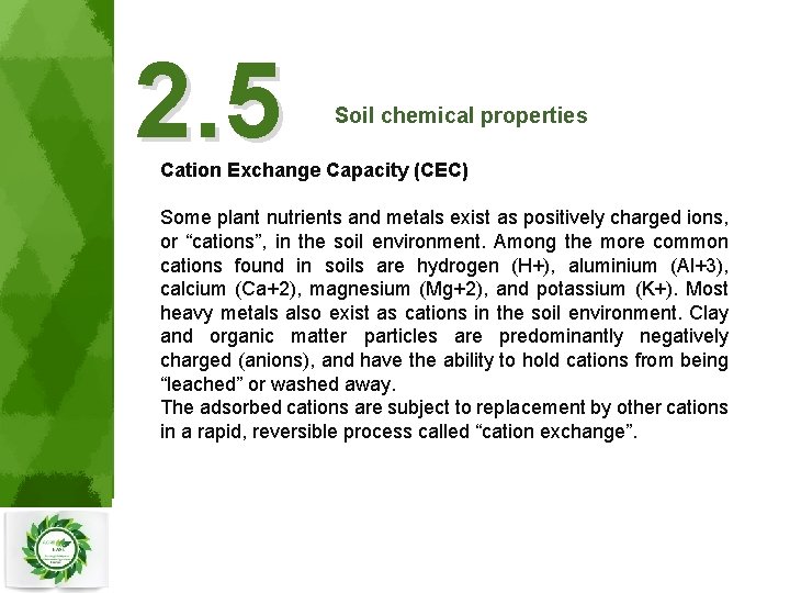 2. 5 Soil chemical properties Cation Exchange Capacity (CEC) Some plant nutrients and metals