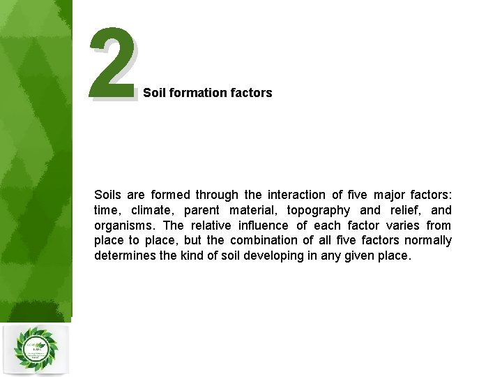 2 Soil formation factors Soils are formed through the interaction of five major factors: