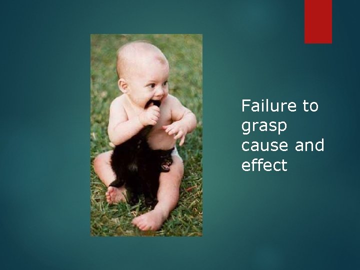 Failure to grasp cause and effect 
