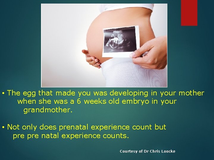  • The egg that made you was developing in your mother when she