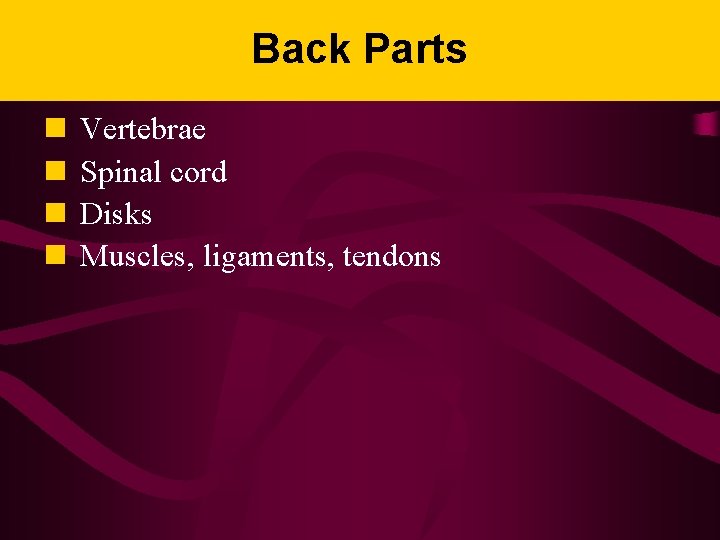Back Parts n n Vertebrae Spinal cord Disks Muscles, ligaments, tendons 