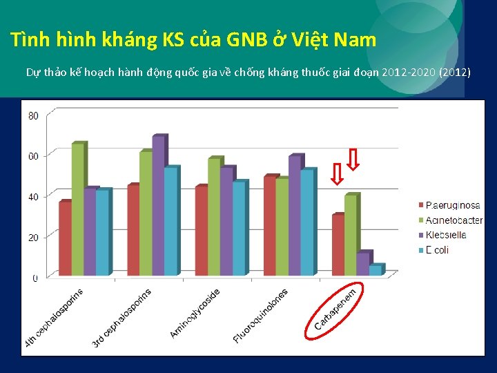 Tình hình kháng KS của GNB ở Việt Nam Dự thảo kế hoạch hành