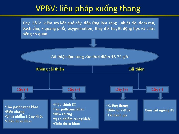 VPBV: liệu pháp xuống thang Day 2&3: kiểm tra kết quả cấy, đáp ứng