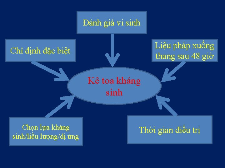 Đánh giá vi sinh Liệu pháp xuống thang sau 48 giờ Chỉ định đặc