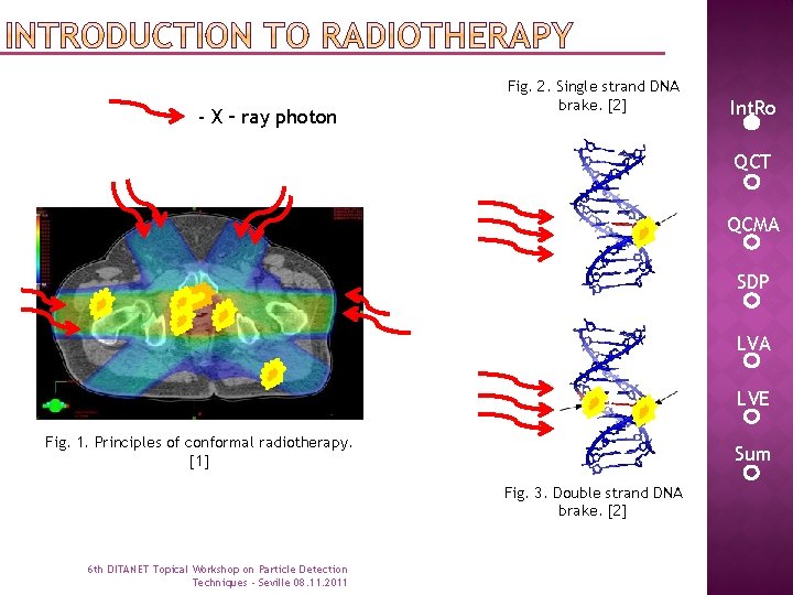 - X – ray photon Fig. 2. Single strand DNA brake. [2] Int. Ro