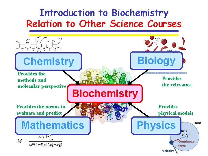 Introduction to Biochemistry Relation to Other Science Courses Chemistry Provides the methods and molecular