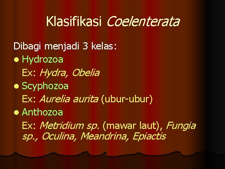 Klasifikasi Coelenterata Dibagi menjadi 3 kelas: l Hydrozoa Ex: Hydra, Obelia l Scyphozoa Ex: