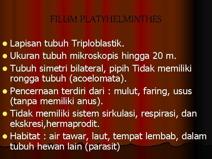 FILUM PLATYHELMINTHES l Lapisan tubuh Triploblastik. l Ukuran tubuh mikroskopis hingga 20 m. l