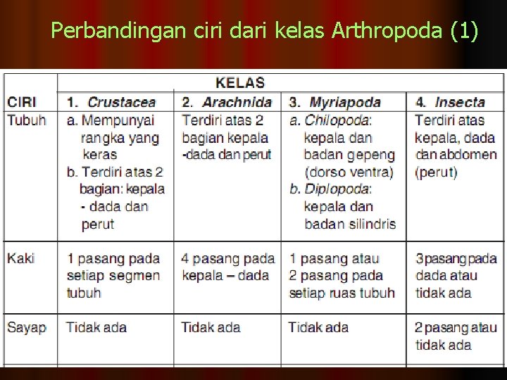 Perbandingan ciri dari kelas Arthropoda (1) 