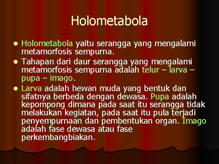 Holometabola yaitu serangga yang mengalami metamorfosis sempurna. l Tahapan dari daur serangga yang mengalami