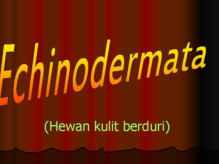 (Hewan kulit berduri) 