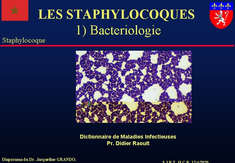 LES STAPHYLOCOQUES 1) Bacteriologie Staphylocoque Dictionnaire de Maladies Infectieuses Pr. Didier Raoult Diaporama du