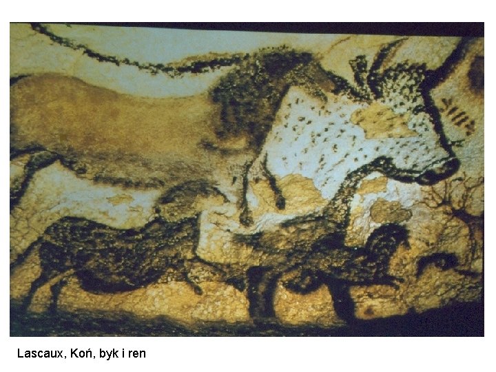 Lascaux, Koń, byk i ren 