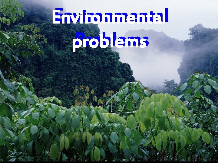 Environmental Problems problems 