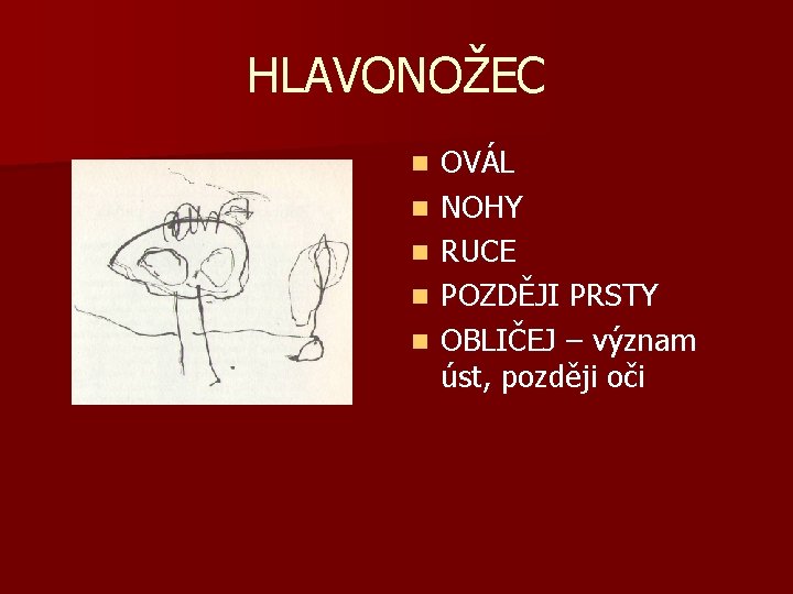 HLAVONOŽEC n n n OVÁL NOHY RUCE POZDĚJI PRSTY OBLIČEJ – význam úst, později