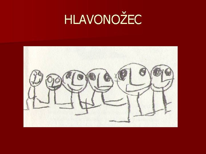 HLAVONOŽEC 