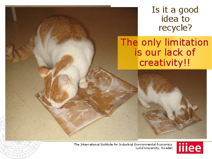 A dilemma Is it a good idea to recycle? The only limitation is our