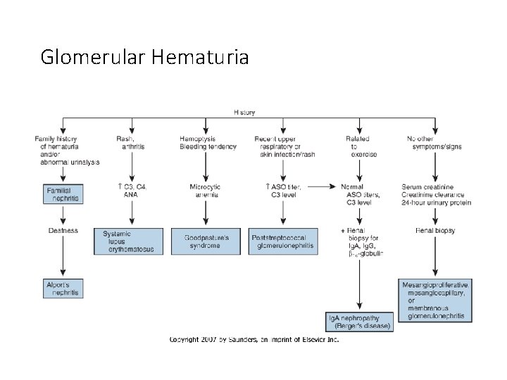 Glomerular Hematuria 
