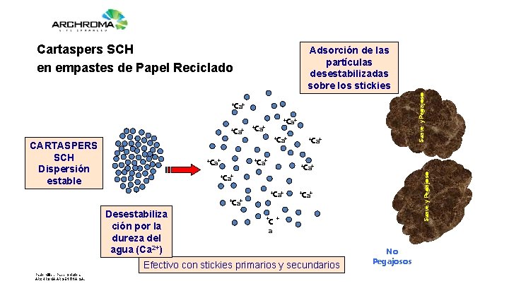 Cartaspers SCH en empastes de Papel Reciclado Suave y Pegajoso Adsorción de las partículas