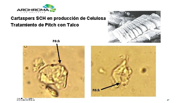 Cartaspers SCH en producción de Celulosa Tratamiento de Pitch con Talco Pitch Pablo Miller,