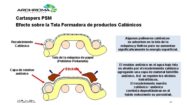 Cartaspers PSM Efecto sobre la Tela Formadora de productos Catiónicos + + Recubrimiento Catiónico