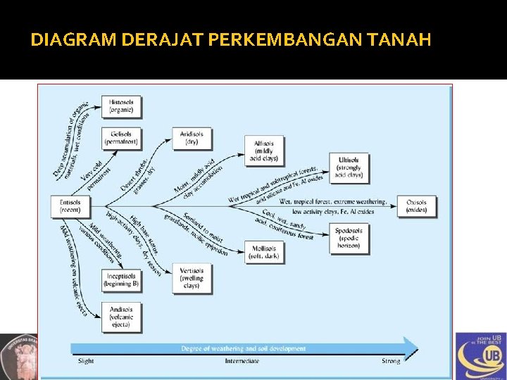 DIAGRAM DERAJAT PERKEMBANGAN TANAH 