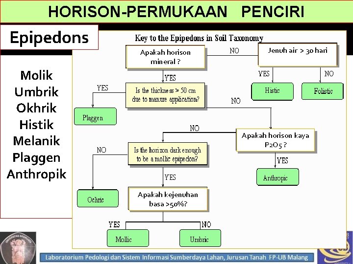 HORISON-PERMUKAAN PENCIRI Epipedons Apakah horison mineral ? Molik Umbrik Okhrik Histik Melanik Plaggen Anthropik