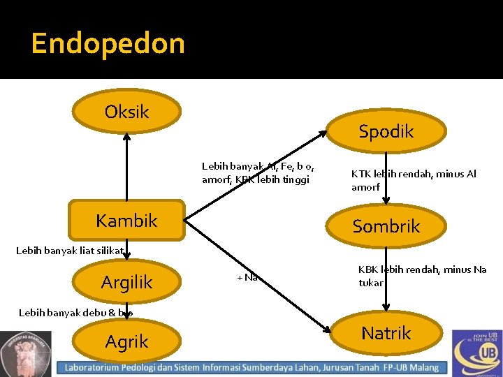 Endopedon Oksik Spodik Lebih banyak Al, Fe, b o, amorf, KPK lebih tinggi Kambik