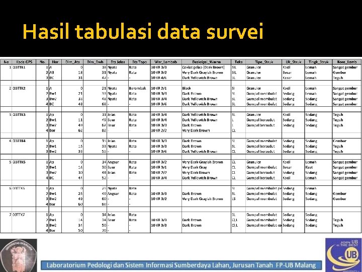 Hasil tabulasi data survei 