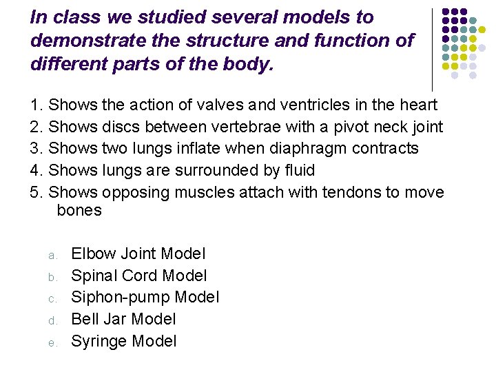 In class we studied several models to demonstrate the structure and function of different