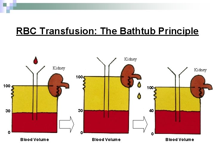 RBC Transfusion: The Bathtub Principle Kidney 100 100 30 30 40 0 Blood Volume