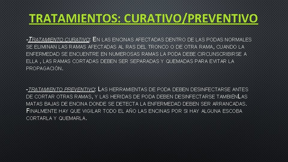 TRATAMIENTOS: CURATIVO/PREVENTIVO -TRATAMIENTO CURATIVO: EN LAS ENCINAS AFECTADAS DENTRO DE LAS PODAS NORMALES SE