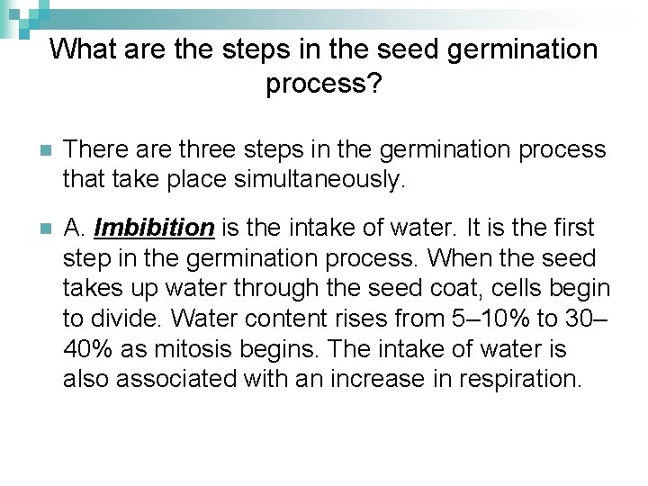 What are the steps in the seed germination process? n There are three steps