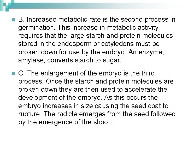n B. Increased metabolic rate is the second process in germination. This increase in