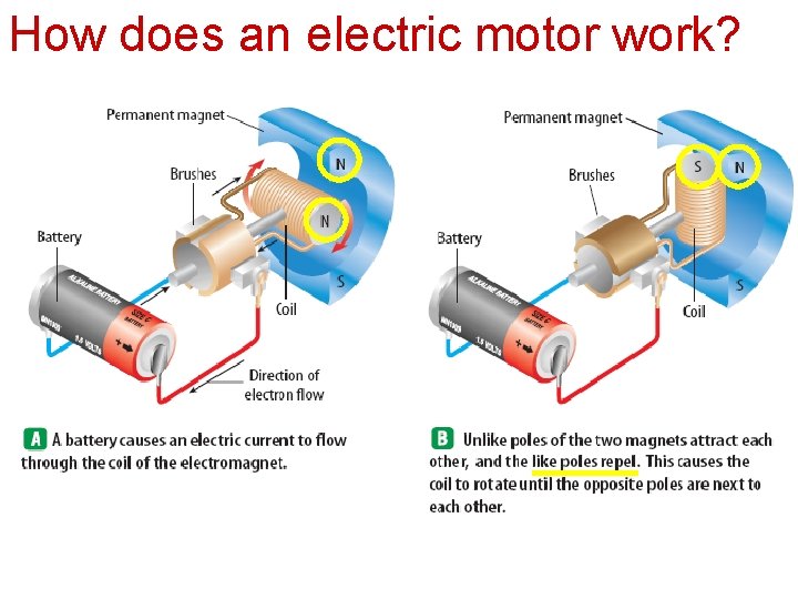 How does an electric motor work? 
