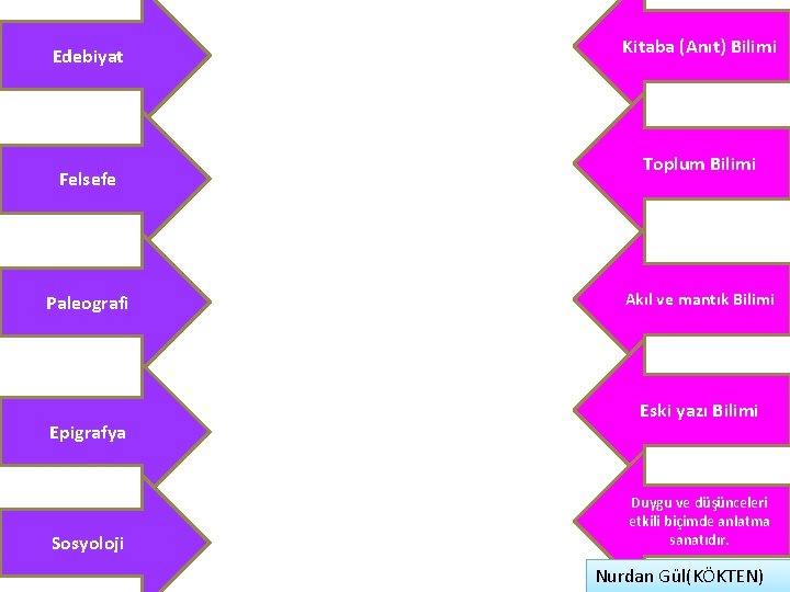Edebiyat Felsefe Paleografi Epigrafya Sosyoloji Kitaba (Anıt) Bilimi Toplum Bilimi Akıl ve mantık Bilimi