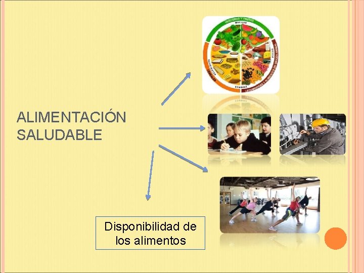 ALIMENTACIÓN SALUDABLE Disponibilidad de los alimentos 