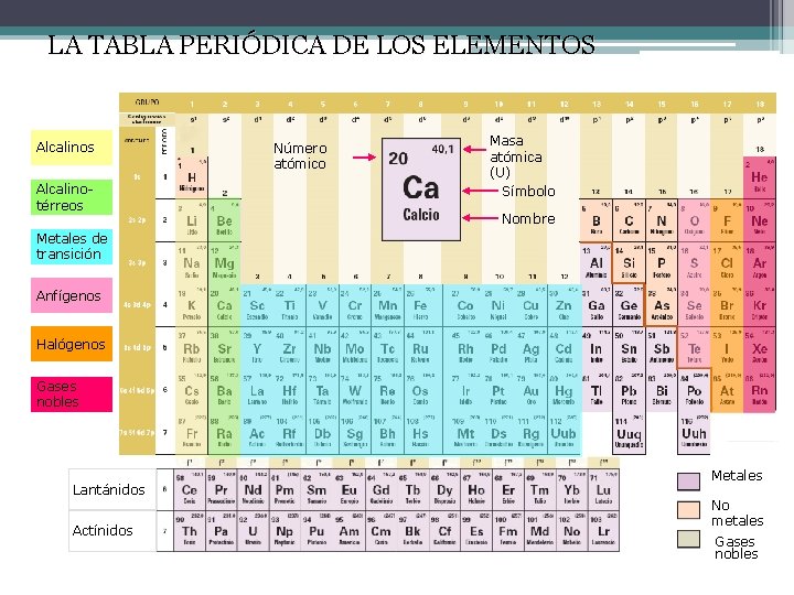 LA TABLA PERIÓDICA DE LOS ELEMENTOS Alcalinos Alcalinotérreos Número atómico Masa atómica (U) Símbolo